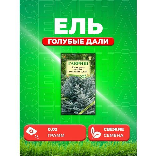 ель голубая колючая 6 саженцев Ель колючая Голубые дали, 0,2г