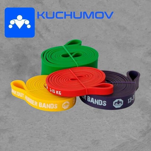 Резиновые петли WORKOUT RUBBER BANDS для фитнеса (комплект, 4 шт.)