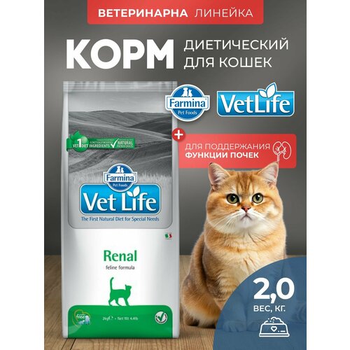 Сухой корм для кошек Farmina Vet Life Renal Фармина Вет Лайф кэт Ренал при почечной недостаточности 2 кг