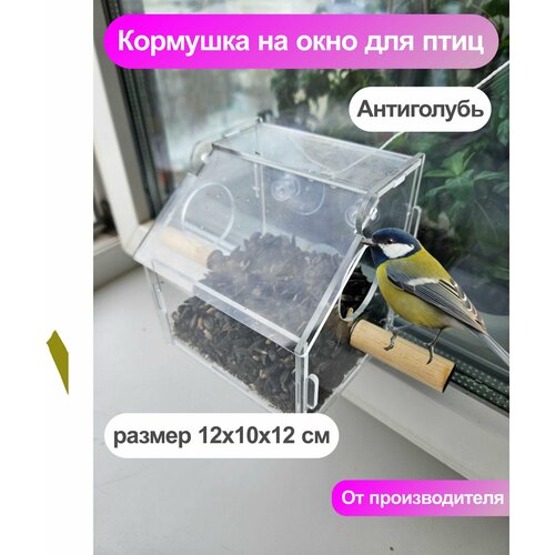 Кормушка на окно, для птиц, прозрачная, на присосках, антиголубь