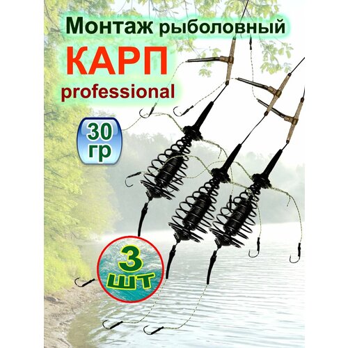 Монтаж рыболовный карп профессионал. 30 г, 3 шт.