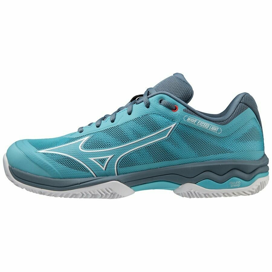 Кроссовки Mizuno