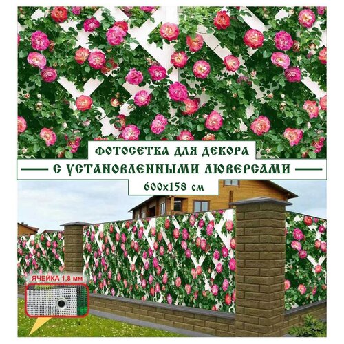 Фотосетка Мечта для декора Розовая стена 600x158 см