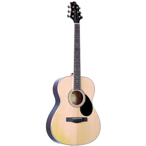 GregBennett GA100S/N Акуст. гитара, корп. мини-джамбо ель, цвет натуральный