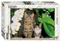 Пазл Step puzzle Animal Collection Котята и орхидея (83040) , элементов: 1500 шт.