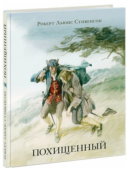 Похищенный (Иткин Анатолий Зиновьевич (иллюстратор), Ротштейн О. (переводчик), Стивенсон Роберт Льюис) - фото №1