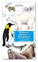 Набор карточек Маленький гений Животные Арктики и Антарктики