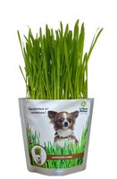 Лакомство для собак Happy Plant Трава Набор для выращивания