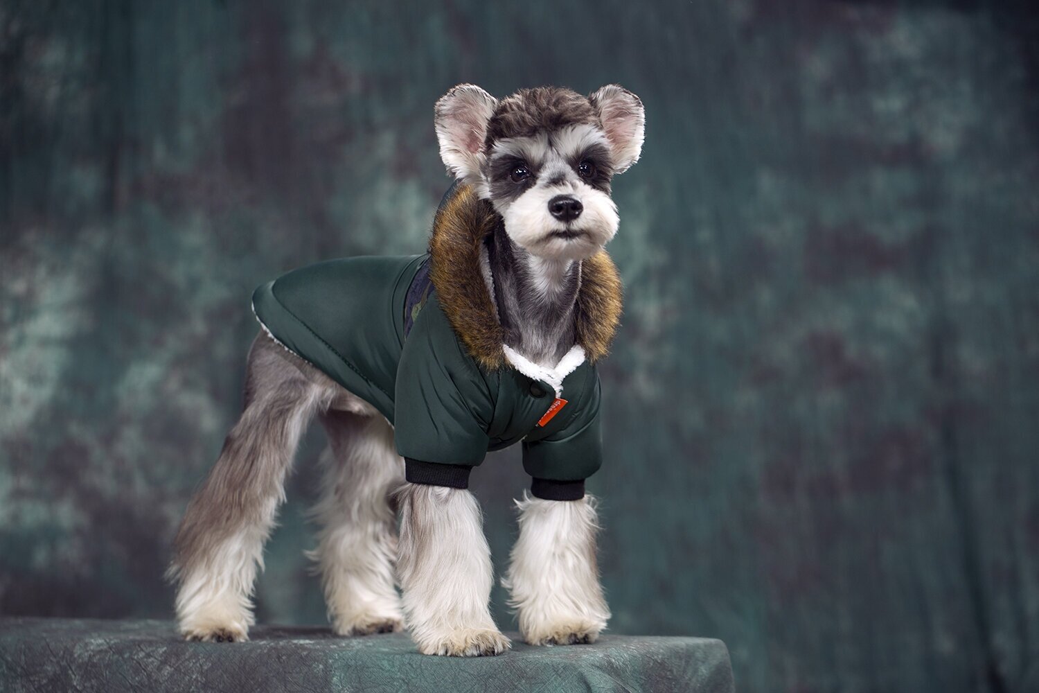 Куртка для собак мелких пород Arnydog Полюс коричневая