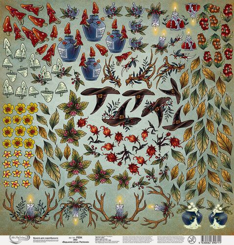 Изображение товара Mr.Painter Бумага для скрапбукинга 190 г/м² 30.5×30.5 см 2602 Ведьмино зелье Растения