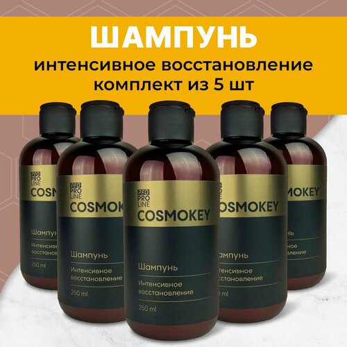 Cosmokey / Космокей Шампунь для эффективного восстановления волос с ПФО-частицами, 5 шт по 250 мл