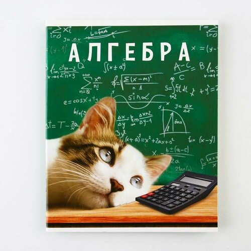 Тетрадь предметная ArtFox STUDY Милые питомцы - Алгебра, 48 листов, на скобе, А5, 1 шт.