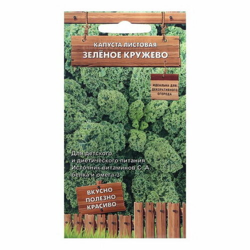 Семена Капуста листовая Зеленое кружево, 0.1 г капуста листовая фиолетовое кружево а поиск инвест 0 1 г