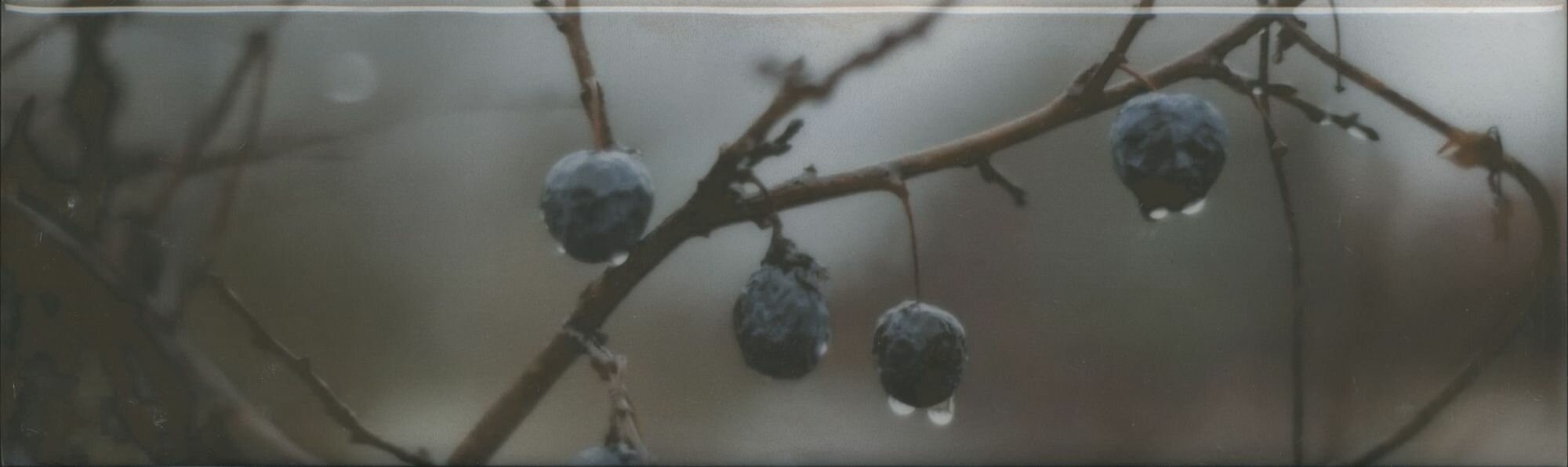 фото Тракай 8 глянцевый 8,5*28,5 керам, декор Цена за 23шт