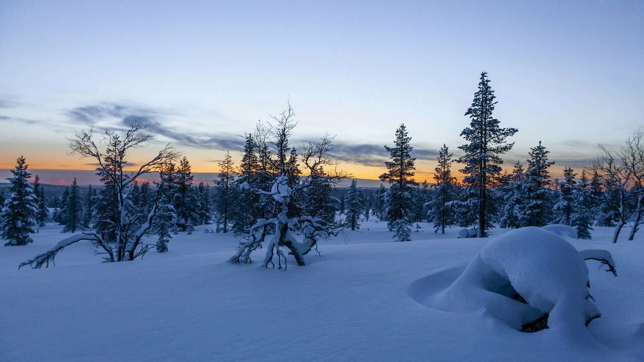 Картина на холсте 60x110 LinxOne "Lapland снег деревья Sunset" интерьерная для дома / на стену / на кухню / с подрамником