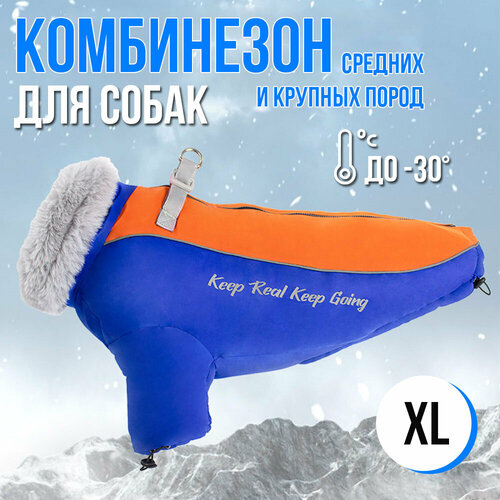 Комбинезон зимний для собак, средние и крупные породы, защита от воды и грязи, оранжево-синий цвет XL
