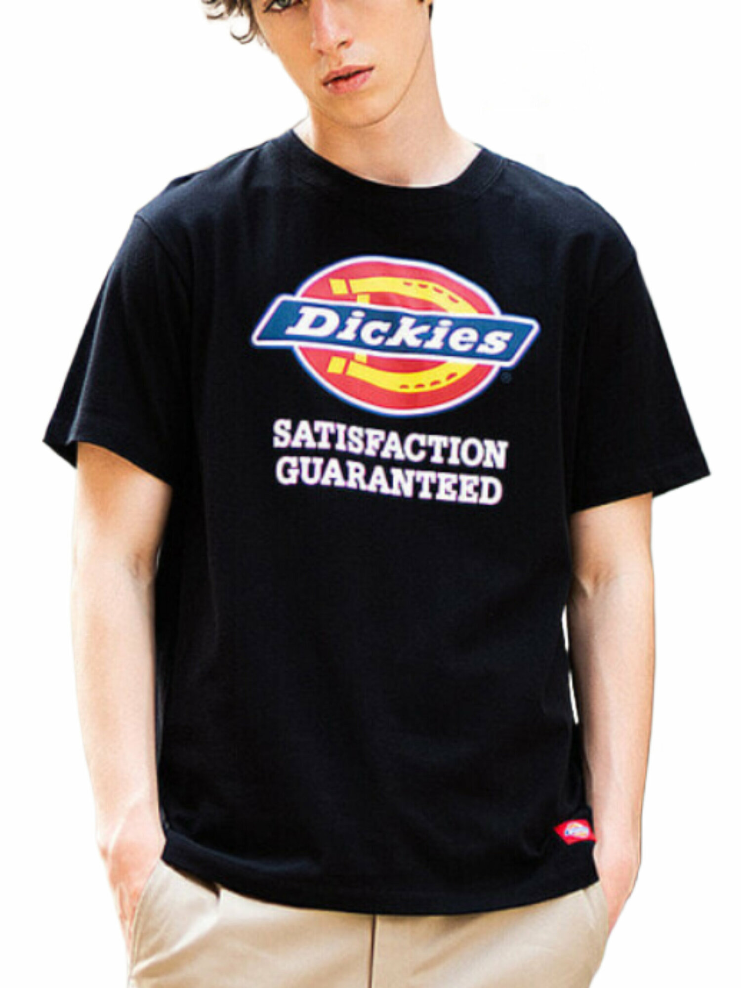 Футболка Dickies черный 