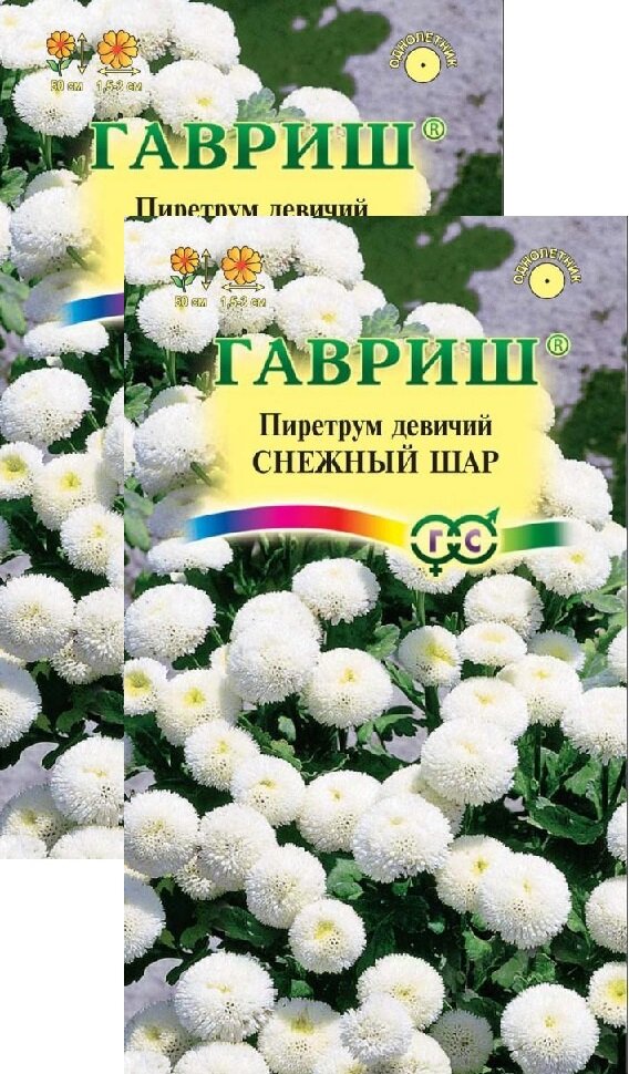 Пиретрум Снежный шар (001 г) 2 пакета