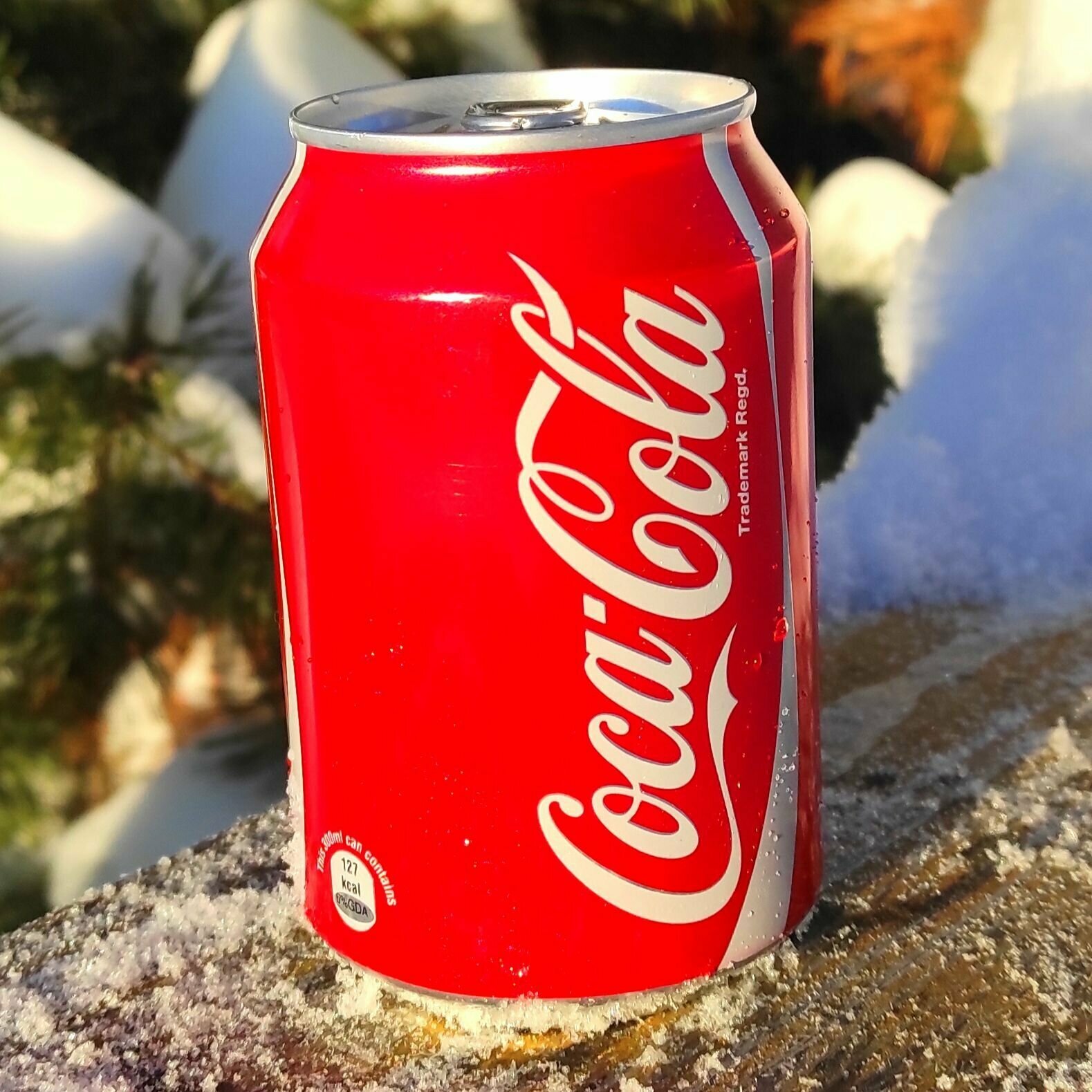 Coca-Сola classic, Кока-Кола, 0,3мл, 32 банки, напиток газированный жб - фотография № 2