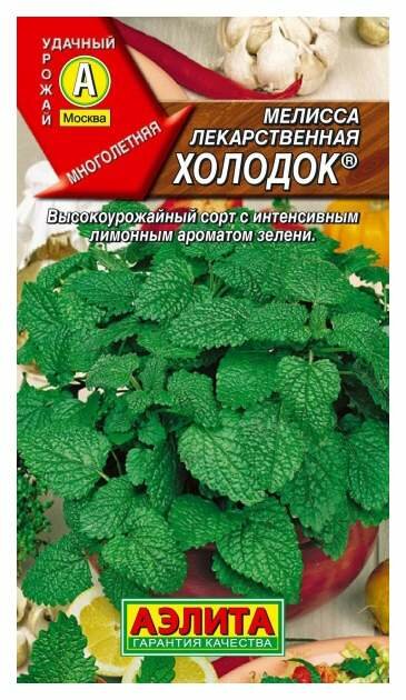 Мелисса лекарственная Холодок 01г.(Аэлита)