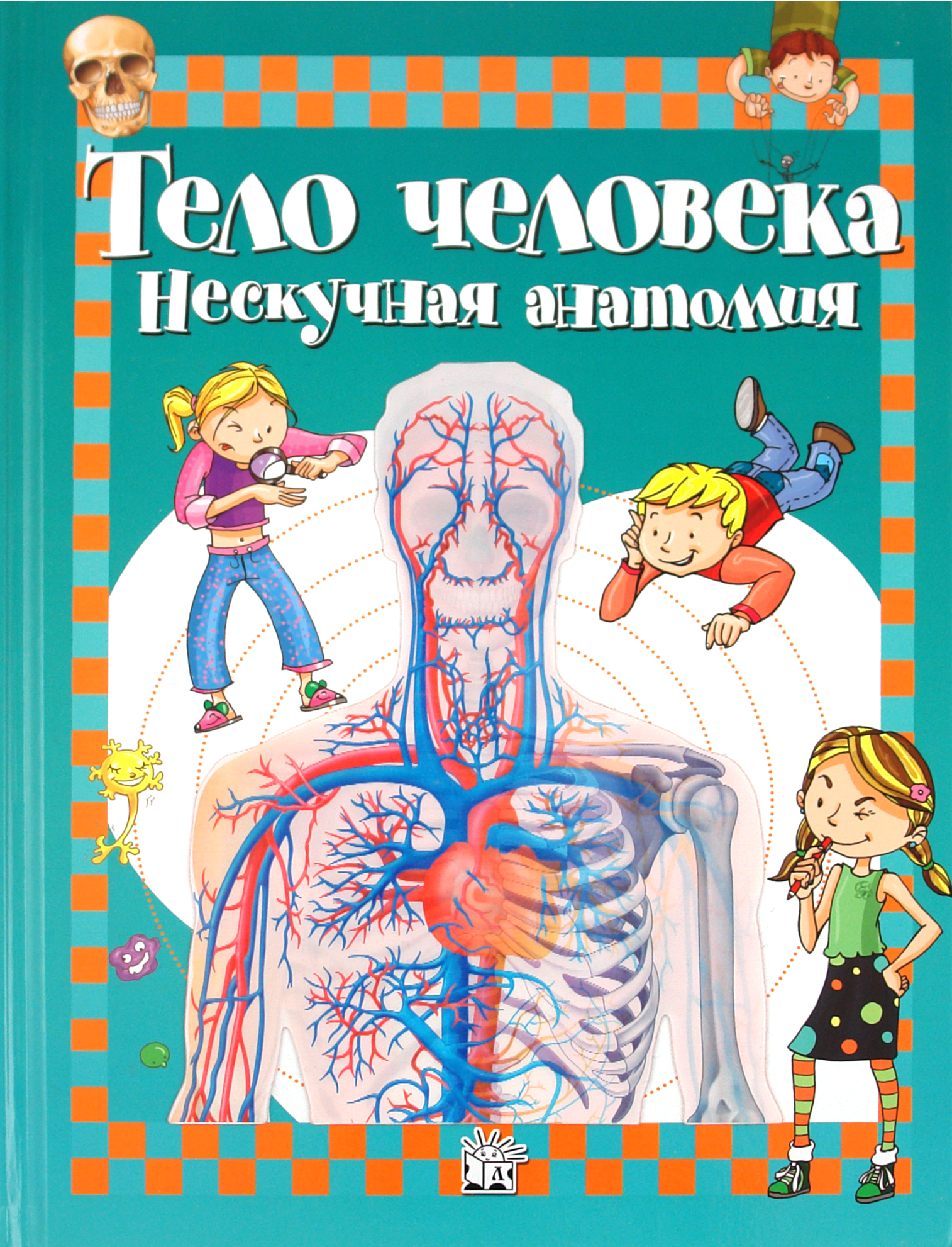 Тело человека. Нескучная анатомия - фото №16