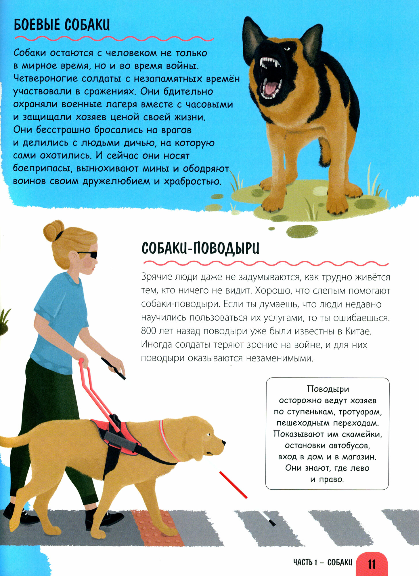 Верные помощники (Секанинова Штепанка) - фото №3