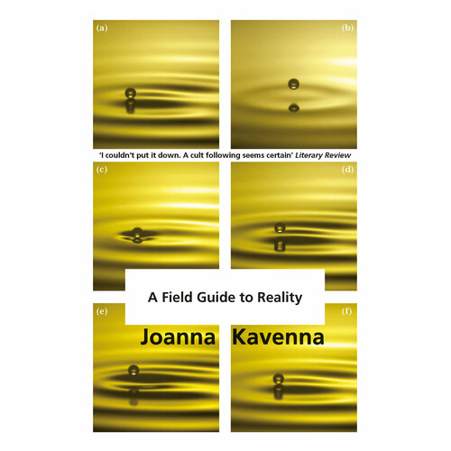 A Field Guide to Reality | Kavenna Joanna