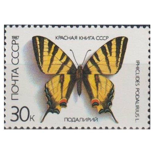 Почтовые марки СССР 1987г. Бабочка - Парусник Бабочки MNH