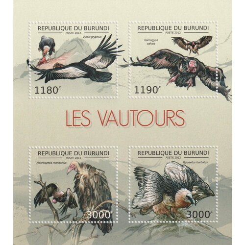 Почтовые марки Бурунди 2012г. Птицы - Стервятники Птицы MNH
