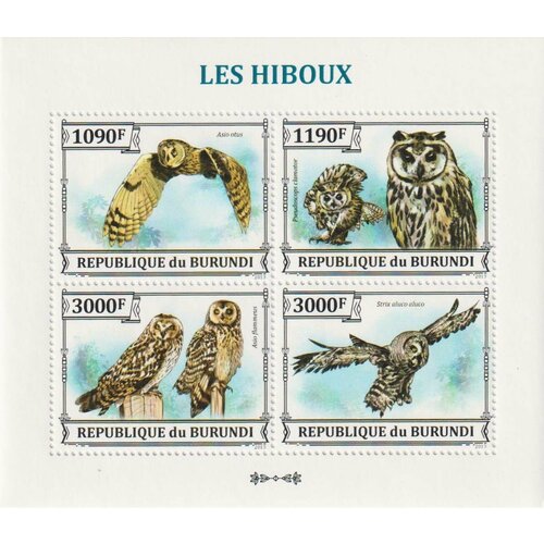 Почтовые марки Бурунди 2013г. Птицы - Совы Совы, Птицы MNH