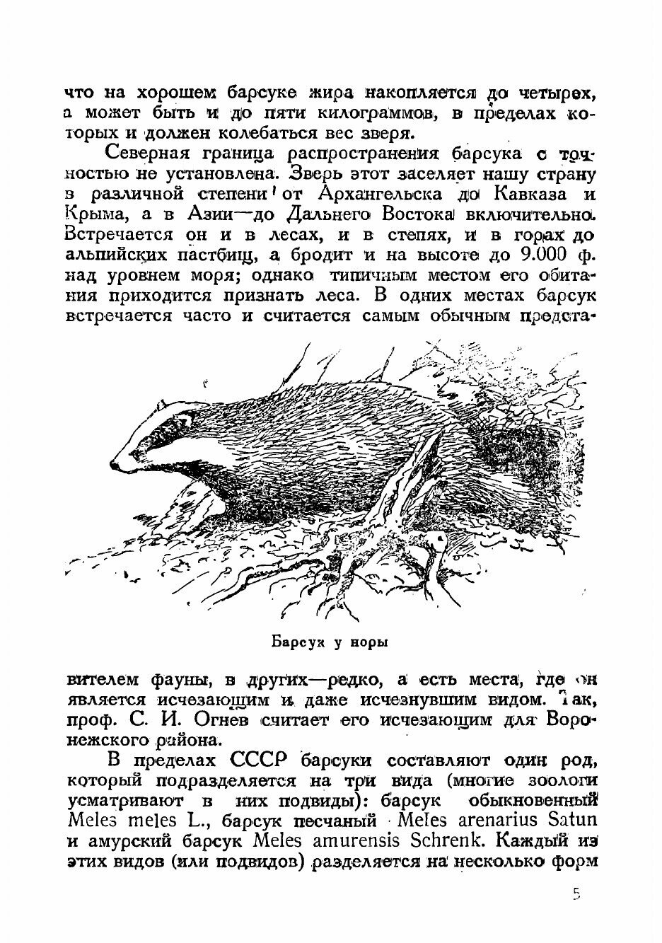Книга Охота на барсука (Каверзнев Валерий Николаевич) - фото №3