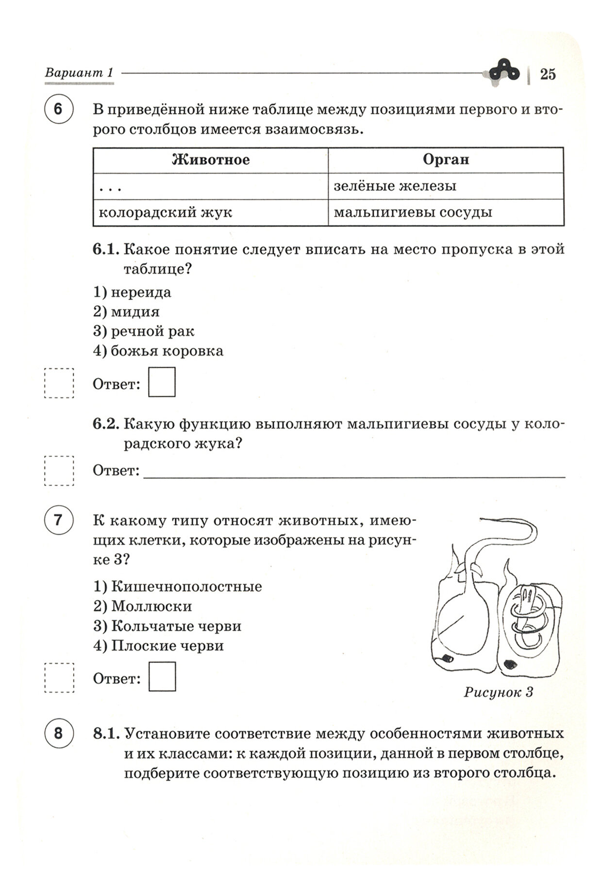 ВПР. Биология. 8 класс. 10 тренировочных вариантов. Учебно-методическое пособие - фото №6