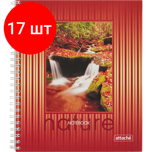 Комплект 17 штук, Тетрадь общая Attache,120л, клет, А5, спир, обл. лак. карт комплект 10 штук тетрадь общая attache 120л клет а5 спир обл лак карт