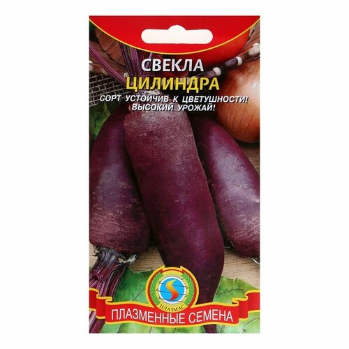 Семена Свекла Цилиндра, среднеспелая, 2-2.5 г (4шт.)