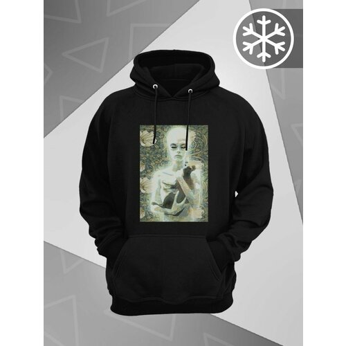 фото Худи , размер l (48-50), черный printech