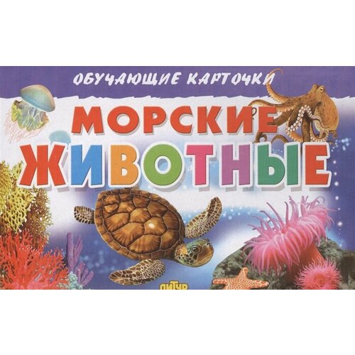 карточки морские животные Обучающие карточки. Морские животные