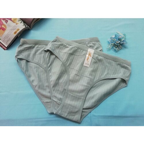 фото Трусы holiday cotton couture, 2 шт., размер 44/46, голубой