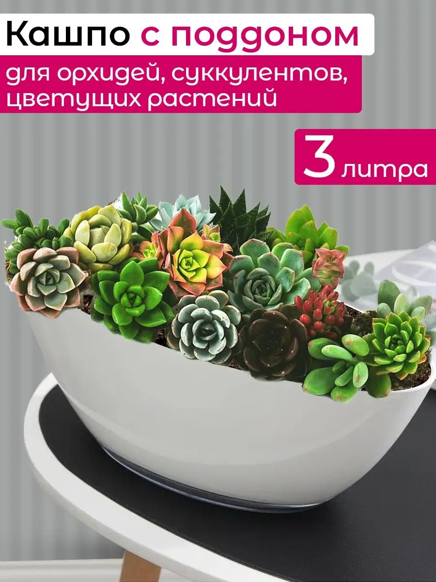 Горшок для орхидей Tiko...