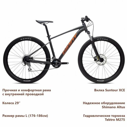 GIANT Talon 29 3 2023 Black L 6800000₽