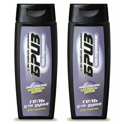 Гель для душа мужской ТимБриз Настроение, 250 мл, 2 шт