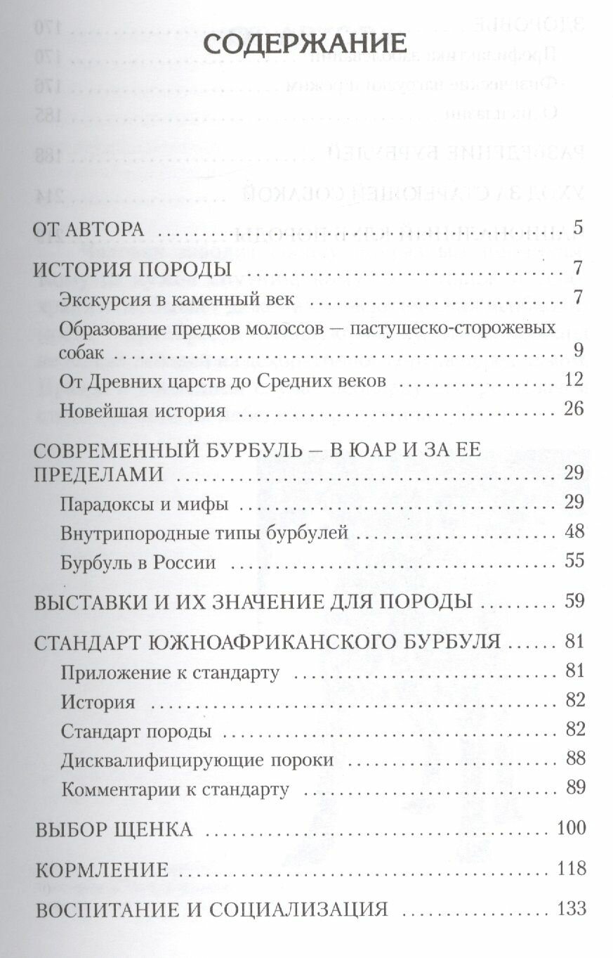 Южноафриканский бурбуль. История. Стандарт. Содержание. Разведение. Выставки - фото №2