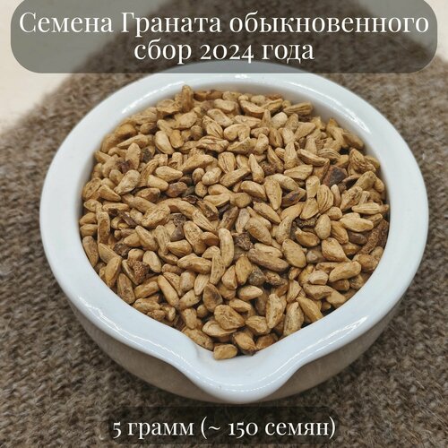 Семена Граната обыкновенного декоративного комнатного бонсай, 5 грамм (примерно 150 шт)
