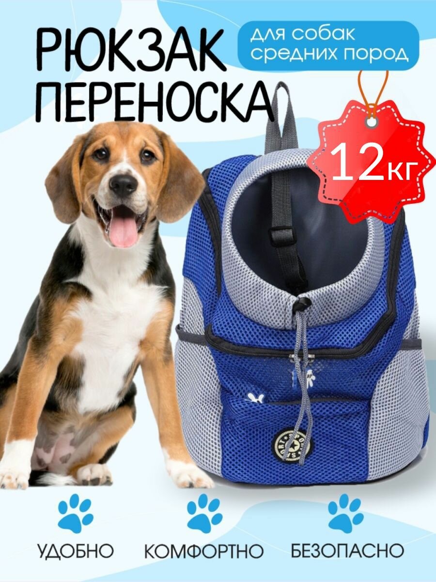 Рюкзак переноска для собак синяя