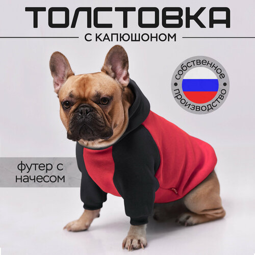 Одежда для собак французский бульдог и мопс, размер XL