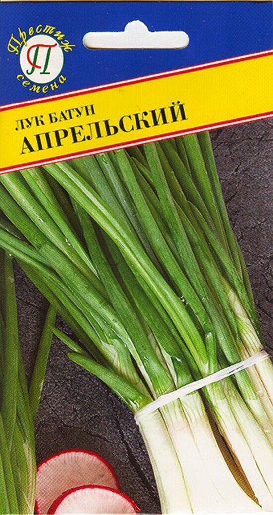 Лук батун апрельский. Семена. 1 пакет-05 гр. Многолетний ранневесенний сорт салатного назначения