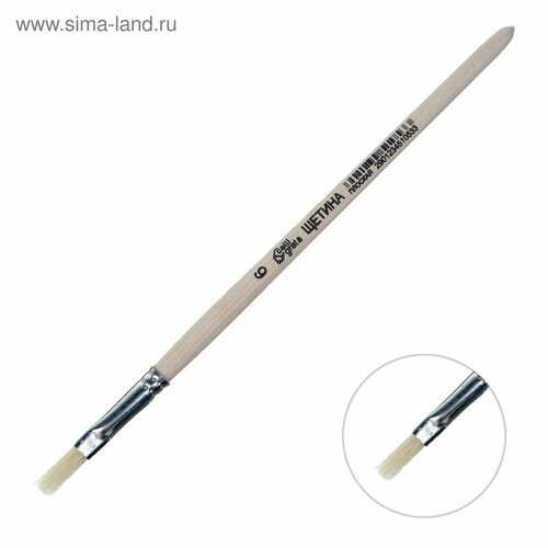 Кисть Щетина плоская 6 ширина обоймы 6 мм длина волоса 14 мм деревянная ручка Calligrata 1шт 293₽