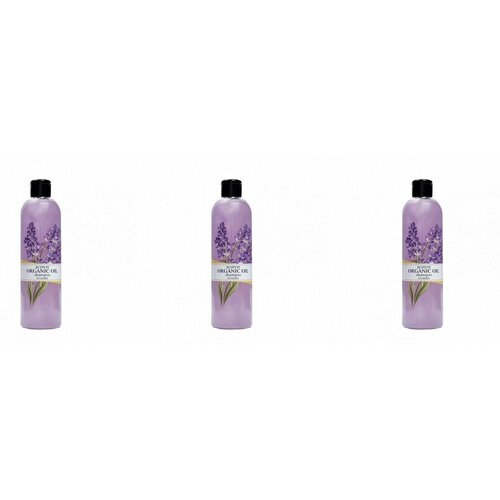 ECO&Vit Organic Oil Шампунь для волос укрепление Лаванда, 500мл, 3 шт