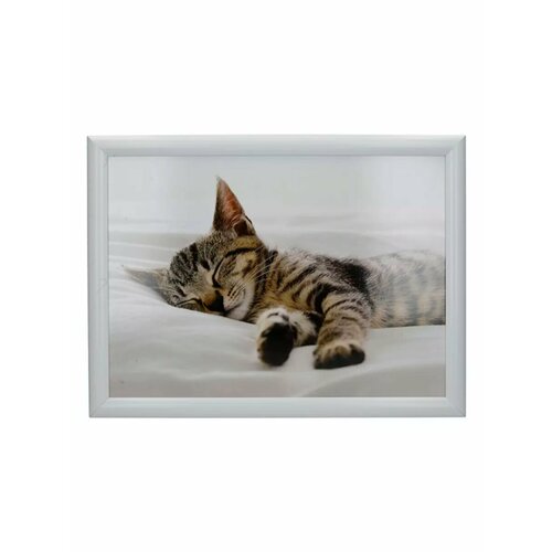 Поднос с мягкой подушкой поднос с котёнком 5999₽