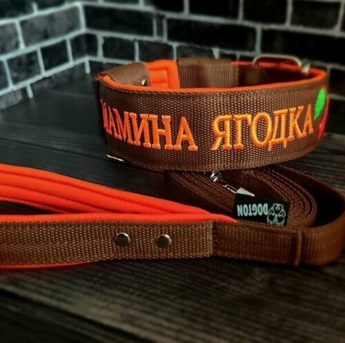 Изображение товара Комплект ошейник с вышивкой и поводок. Поводок 1.5 метра. Для собак средних и крупных пород. Ширина ошейника 5.5 см. Обхват шеи 35-47 см.