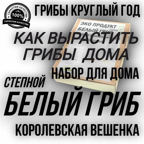 Премиум Набор Домашняя грибница своими руками